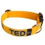 Dog collar with name - M | My K9