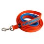 Neoprene handle dog leash with name