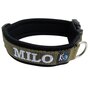 Neoprene dog collar with name - M | My K9