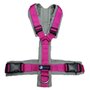 *NEW* AnnyX Y-harness FUN Fuchsia/Grey