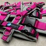 *NEW* AnnyX Y-harness FUN Fuchsia/Grey