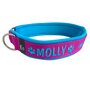 Neoprene Buckleless dog collar with name - S | My K9