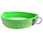 Neoprene Buckleless dog collar with name - L | My K9