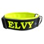 Neoprene Buckleless dog collar with name - XL | My K9