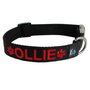 Dog collar with name - L | My K9