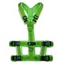 *Limited Edition* AnnyX SAFETY escape proof harness Green/Neongreen reflective