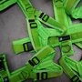 *LIMITED EDITION* AnnyX hondentuigje PROTECT Limegroen Neongroen