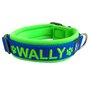 Neoprene dog collar with name - S | My K9