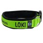 Neoprene dog collar with name - S | My K9