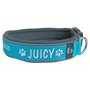 Neoprene dog collar with name - M | My K9