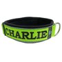 Neoprene dog collar with name - L | My K9