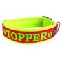 Neoprene dog collar with name - L | My K9