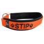 Neoprene Half-Check dog collar with name - S | My K9