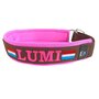 Neoprene Half-Check dog collar with name - L | My K9