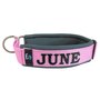 Neoprene Half-Check dog collar with name - L | My K9