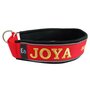 Neoprene Half-Check dog collar with name - XL | My K9