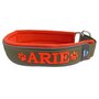 Fleece Half-Check dog collar with name - S | My K9