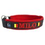 Fleece Half-Check dog collar with name - M | My K9