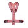 *LIMITED EDITION* AnnyX hondentuigje FUN Koraalrood/roze