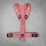 *LIMITED EDITION* AnnyX hondentuigje FUN Koraalrood/roze