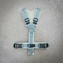 *LIMITED EDITION* AnnyX hondentuigje FUN Poederblauw/Salie