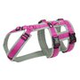 AnnyX SAFETY escape proof harness Fuchsia/Grey