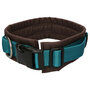 AnnyX dog collar FUN Turquoise/Brown - S/size 4