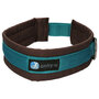 AnnyX dog collar FUN Turquoise/Brown - XS/size 3