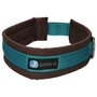 AnnyX dog collar FUN Turquoise/Brown