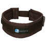 AnnyX dog collar FUN Brown