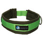 AnnyX dog collar FUN Green/Olive green