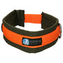 AnnyX dog collar FUN Orange/Olive green