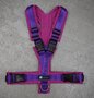 *Limited Edition* AnnyX Y-harness OPEN - FUN Purple/Fuchsia size XXS