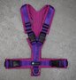 *Limited Edition* AnnyX hondentuigje OPEN - FUN Paars/Fuchsia maat XXS