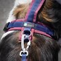 AnnyX hondentuigje FUN Donkerblauw/Bordeaux - Limited Edition