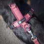 AnnyX adjustable dog leash lined - Pink/Bordeaux
